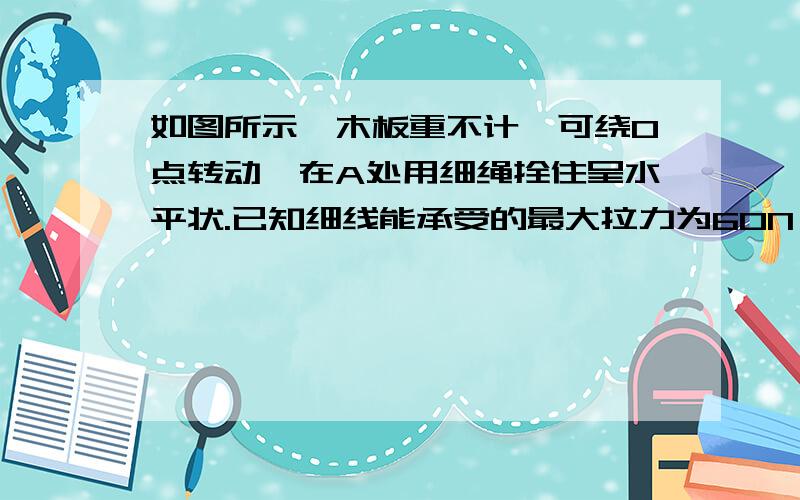 如图所示,木板重不计,可绕O点转动,在A处用细绳拴住呈水平状.已知细线能承受的最大拉力为60N,OA=5cm,OB=30