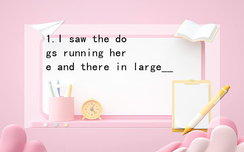 1.I saw the dogs running here and there in large__