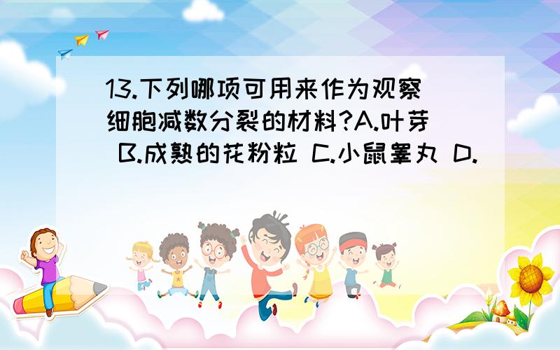 13.下列哪项可用来作为观察细胞减数分裂的材料?A.叶芽 B.成熟的花粉粒 C.小鼠睾丸 D.