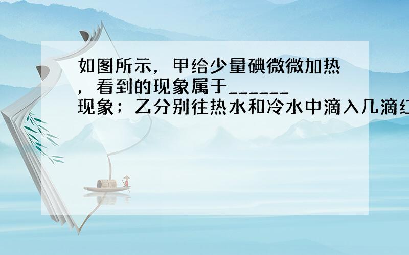 如图所示，甲给少量碘微微加热，看到的现象属于______现象；乙分别往热水和冷水中滴入几滴红墨水，所看到的现象说明，温度