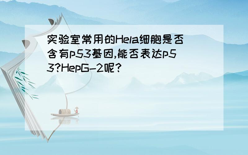 实验室常用的Hela细胞是否含有p53基因,能否表达p53?HepG-2呢?