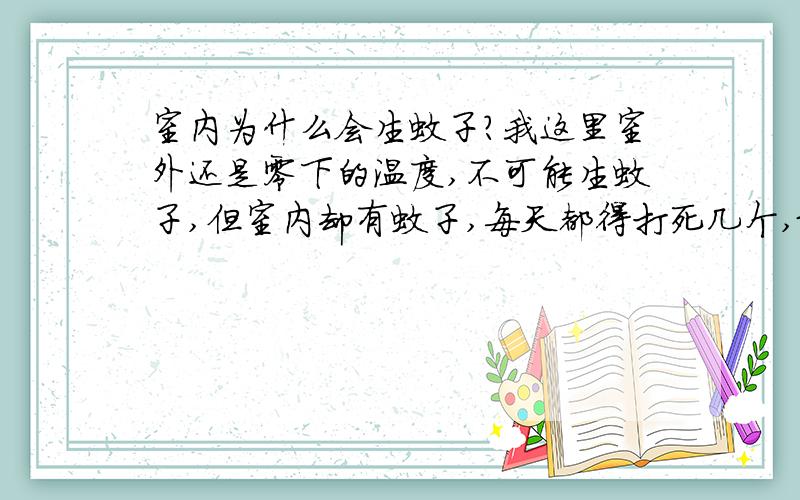 室内为什么会生蚊子?我这里室外还是零下的温度,不可能生蚊子,但室内却有蚊子,每天都得打死几个,最多的时候打死20几个,每