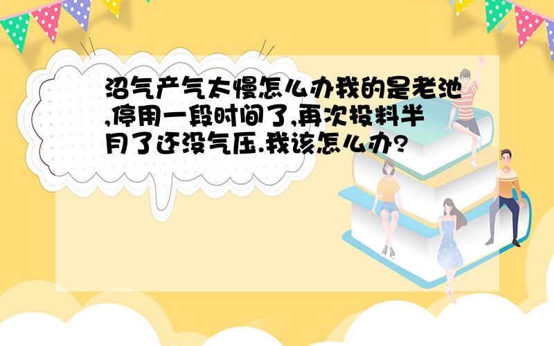 沼气产气太慢怎么办我的是老池,停用一段时间了,再次投料半月了还没气压.我该怎么办?