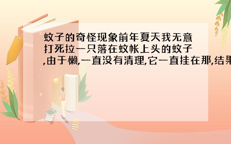 蚊子的奇怪现象前年夏天我无意打死拉一只落在蚊帐上头的蚊子,由于懒,一直没有清理,它一直挂在那,结果我屋子里不放蚊帐好像也