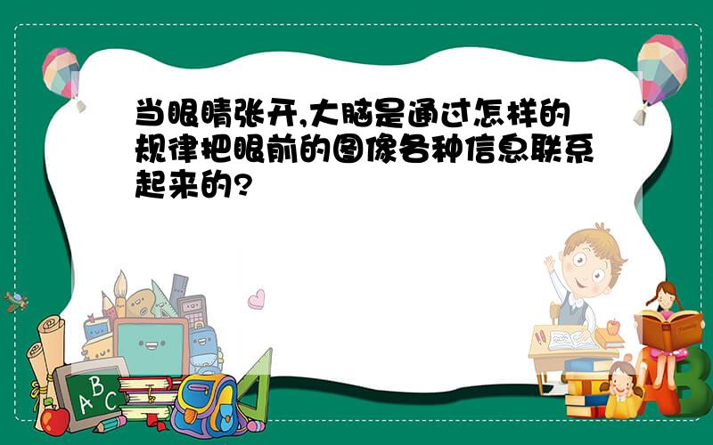 当眼睛张开,大脑是通过怎样的规律把眼前的图像各种信息联系起来的?