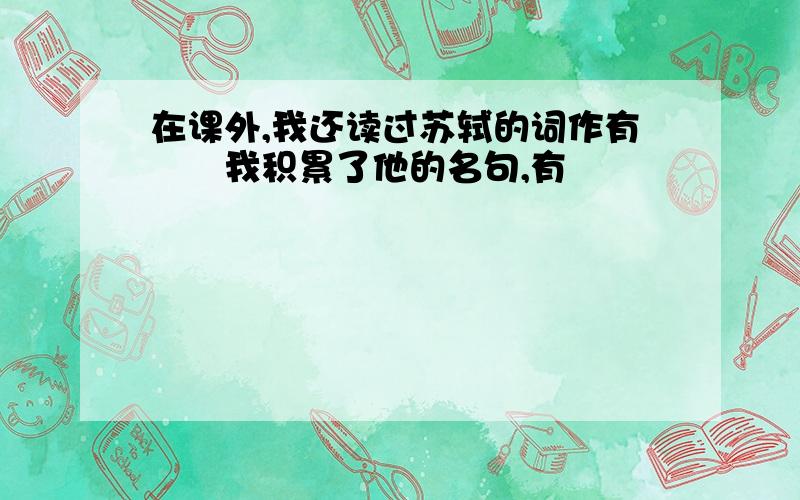 在课外,我还读过苏轼的词作有　　我积累了他的名句,有