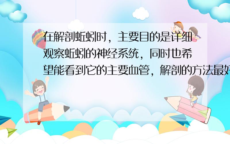 在解剖蚯蚓时，主要目的是详细观察蚯蚓的神经系统，同时也希望能看到它的主要血管，解剖的方法最好是（　　）