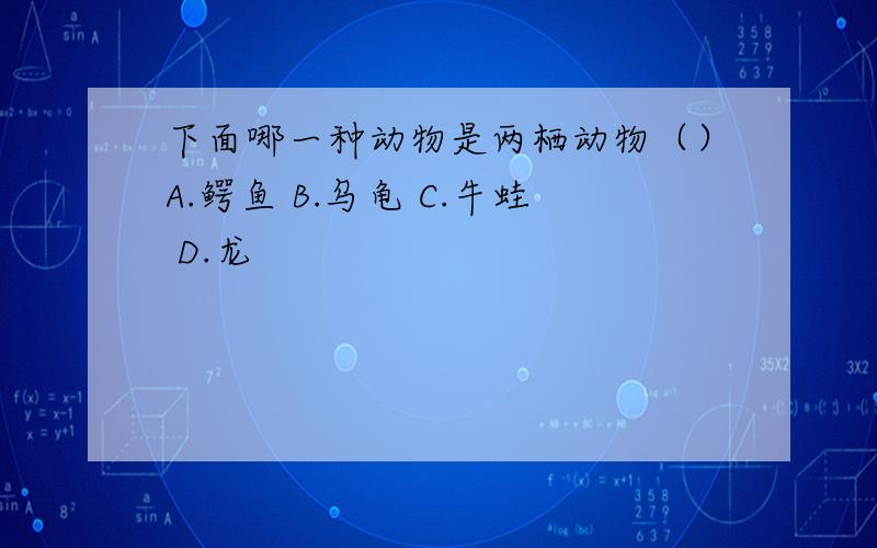 下面哪一种动物是两栖动物（）A.鳄鱼 B.乌龟 C.牛蛙 D.龙