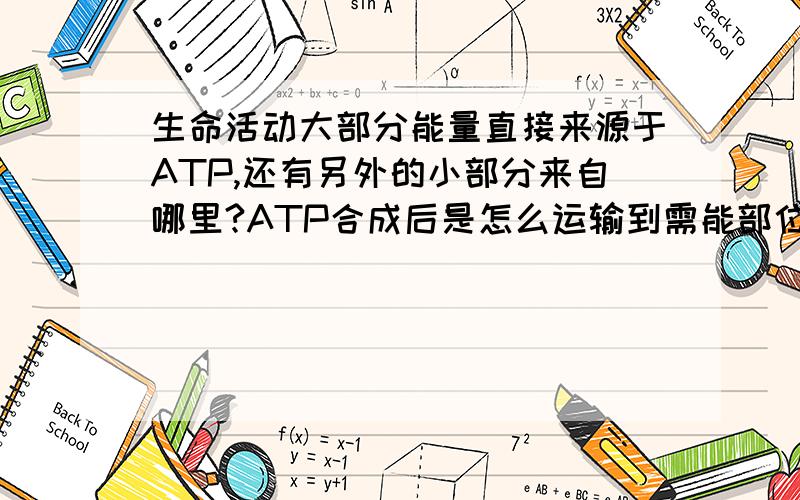 生命活动大部分能量直接来源于ATP,还有另外的小部分来自哪里?ATP合成后是怎么运输到需能部位的?