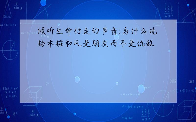 倾听生命行走的声音:为什么说杨木桩和风是朋友而不是仇敌