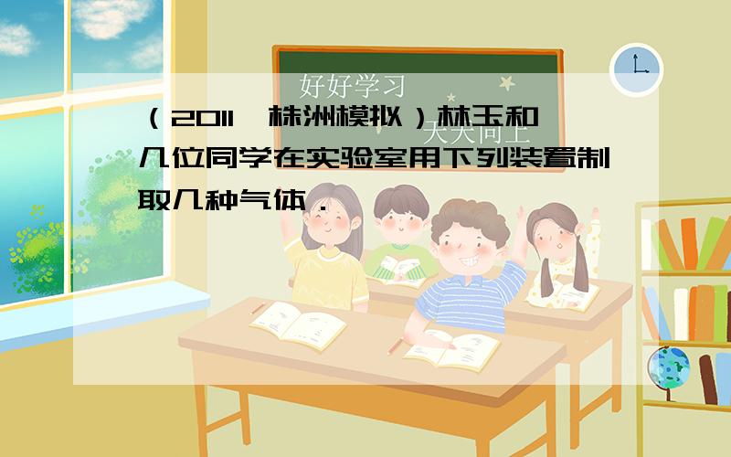 （2011•株洲模拟）林玉和几位同学在实验室用下列装置制取几种气体．