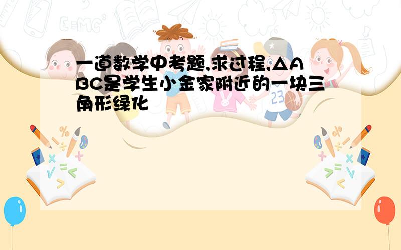 一道数学中考题,求过程,△ABC是学生小金家附近的一块三角形绿化