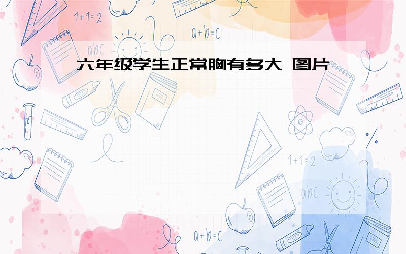 六年级学生正常胸有多大 图片