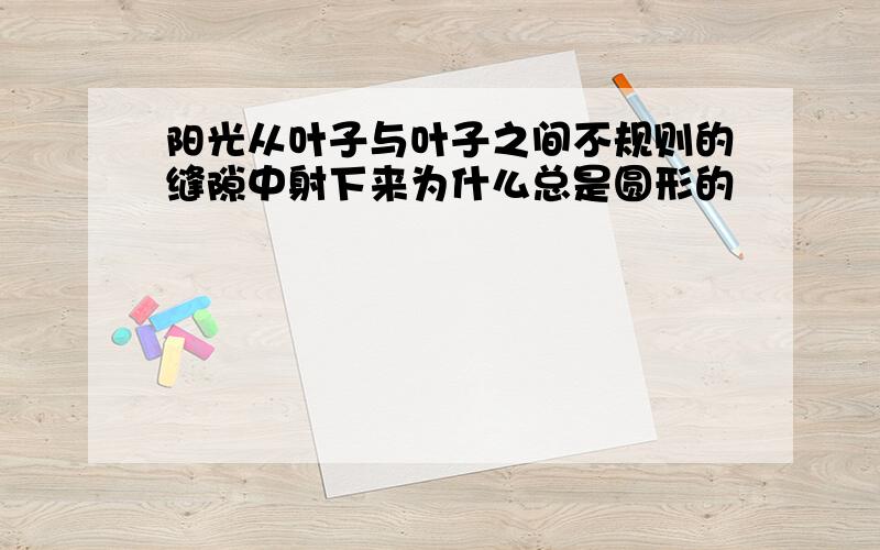 阳光从叶子与叶子之间不规则的缝隙中射下来为什么总是圆形的