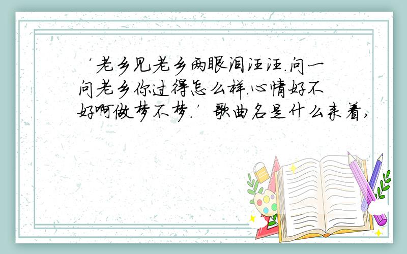 ‘老乡见老乡两眼泪汪汪.问一问老乡你过得怎么样.心情好不好啊做梦不梦.’歌曲名是什么来着,