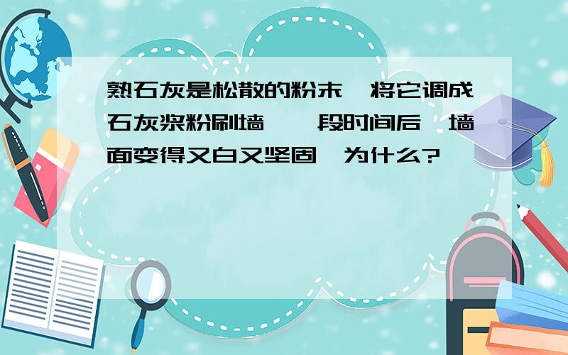 熟石灰是松散的粉末,将它调成石灰浆粉刷墙,一段时间后,墙面变得又白又坚固,为什么?