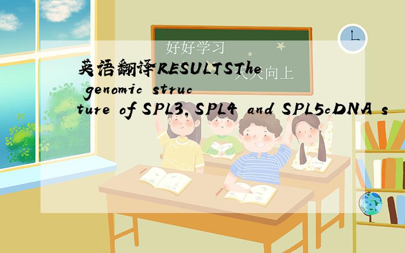 英语翻译RESULTSThe genomic structure of SPL3,SPL4 and SPL5cDNA s