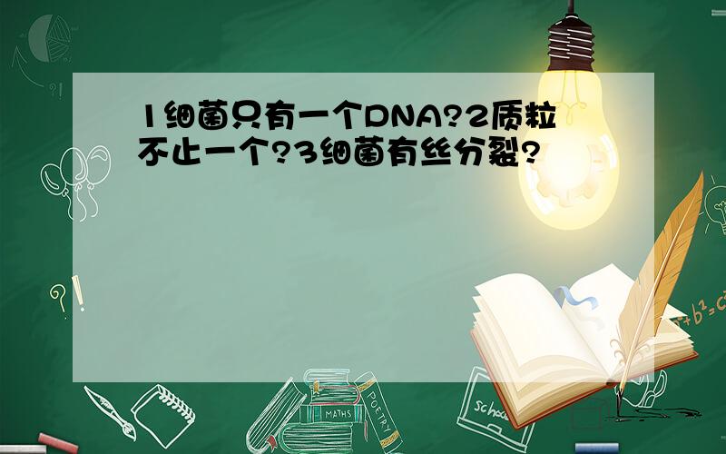 1细菌只有一个DNA?2质粒不止一个?3细菌有丝分裂?