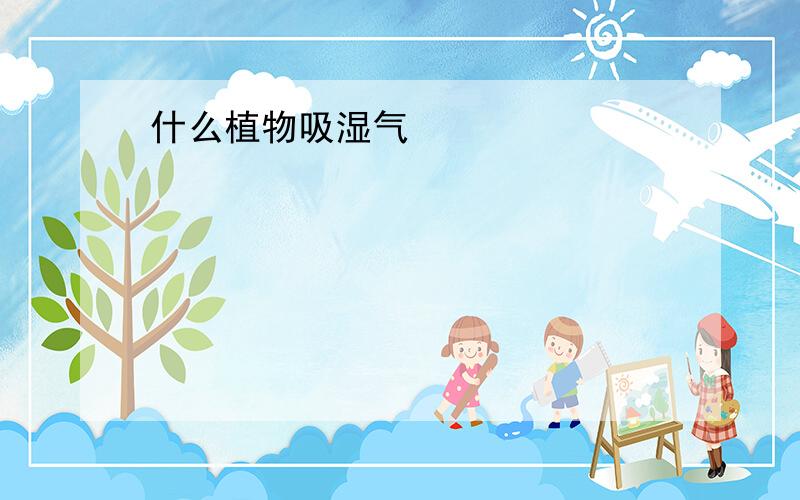 什么植物吸湿气