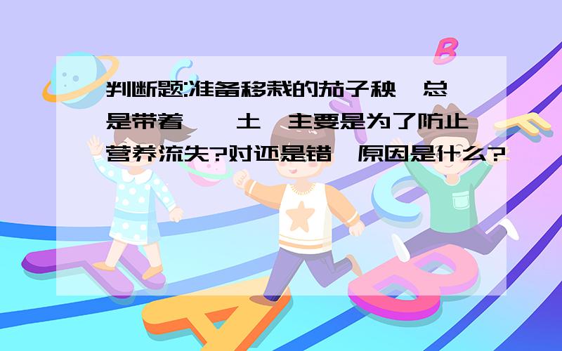 判断题:准备移栽的茄子秧,总是带着一坨土,主要是为了防止营养流失?对还是错,原因是什么?