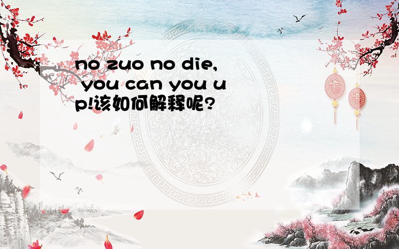 no zuo no die, you can you up!该如何解释呢?