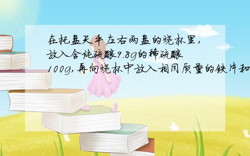 在托盘天平左右两盘的烧杯里,放入含纯硫酸9.8g的稀硫酸100g,再向烧杯中放入相同质量的铁片和锌粒（过程）