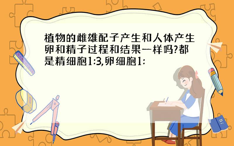 植物的雌雄配子产生和人体产生卵和精子过程和结果一样吗?都是精细胞1:3,卵细胞1: