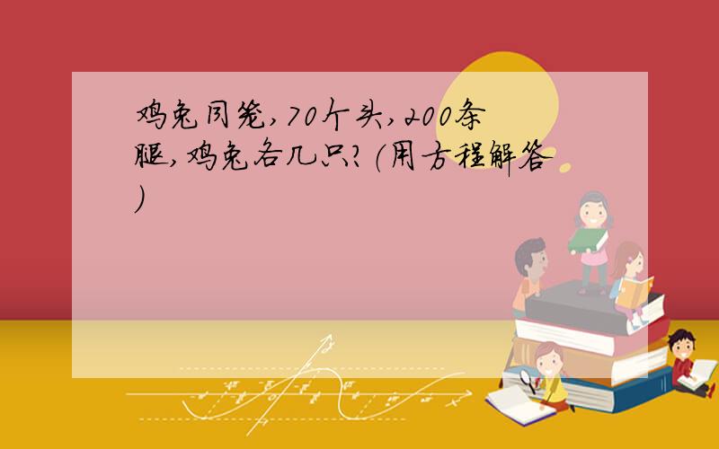 鸡兔同笼,70个头,200条腿,鸡兔各几只?（用方程解答）