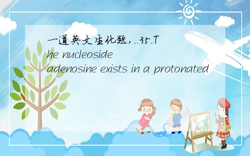 一道英文生化题,..35.The nucleoside adenosine exists in a protonated