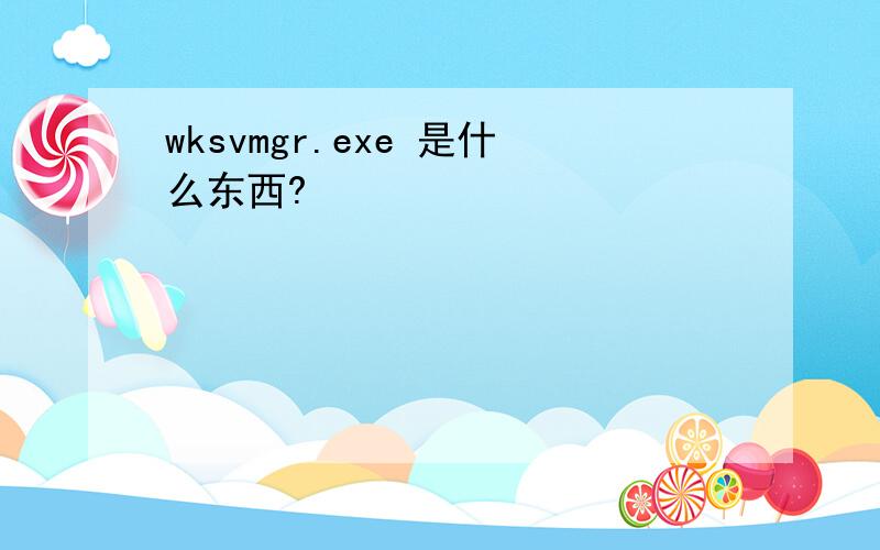 wksvmgr.exe 是什么东西?