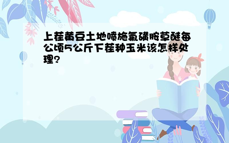 上茬黄豆土地喷施氟磺胺草醚每公顷5公斤下茬种玉米该怎样处理?