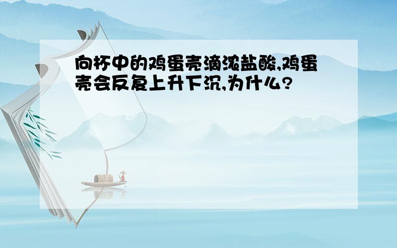 向杯中的鸡蛋壳滴浓盐酸,鸡蛋壳会反复上升下沉,为什么?