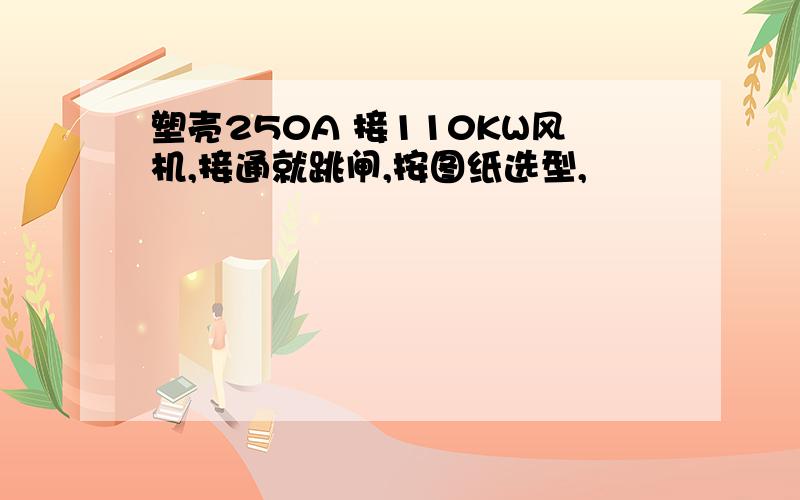 塑壳250A 接110KW风机,接通就跳闸,按图纸选型,