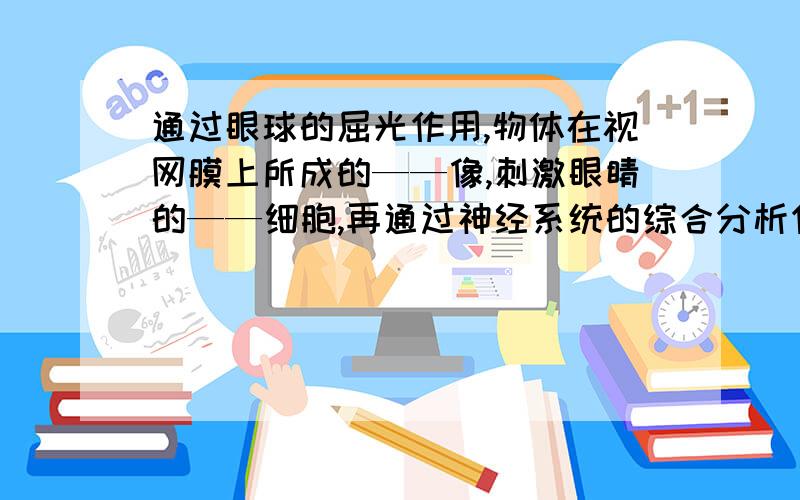 通过眼球的屈光作用,物体在视网膜上所成的——像,刺激眼睛的——细胞,再通过神经系统的综合分析作用形成