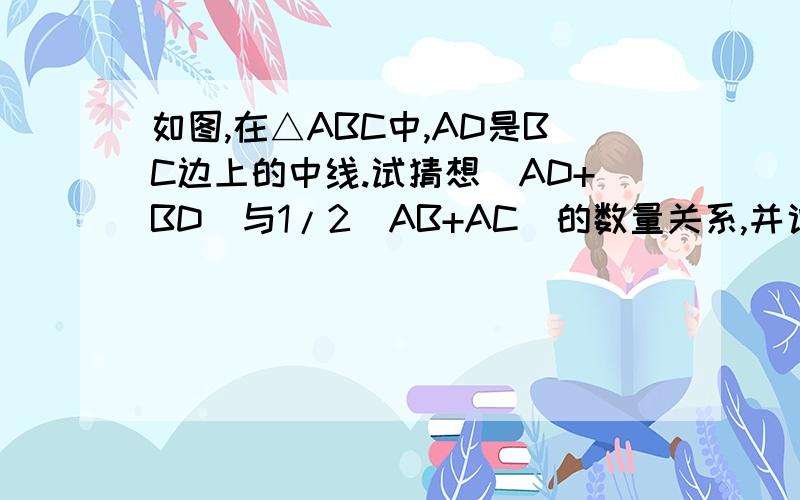 如图,在△ABC中,AD是BC边上的中线.试猜想(AD+BD)与1/2(AB+AC)的数量关系,并说明理由