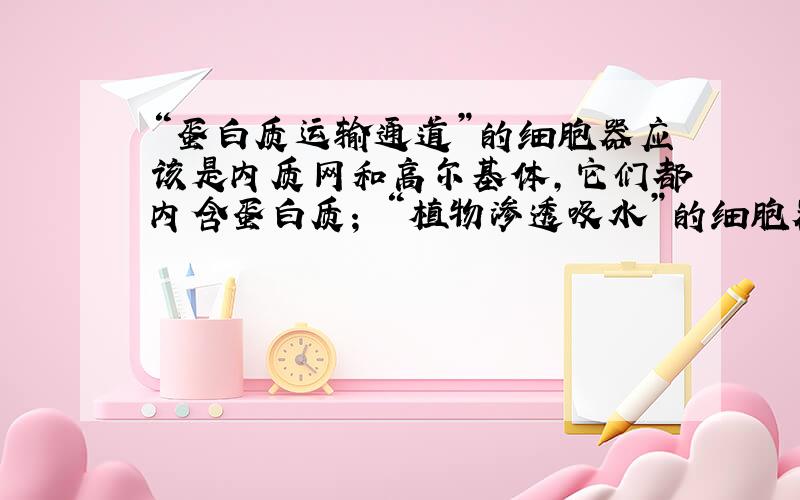 “蛋白质运输通道”的细胞器应该是内质网和高尔基体,它们都内含蛋白质； “植物渗透吸水”的细胞器应该是