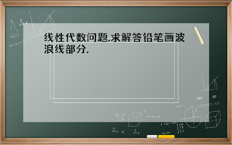 线性代数问题.求解答铅笔画波浪线部分.