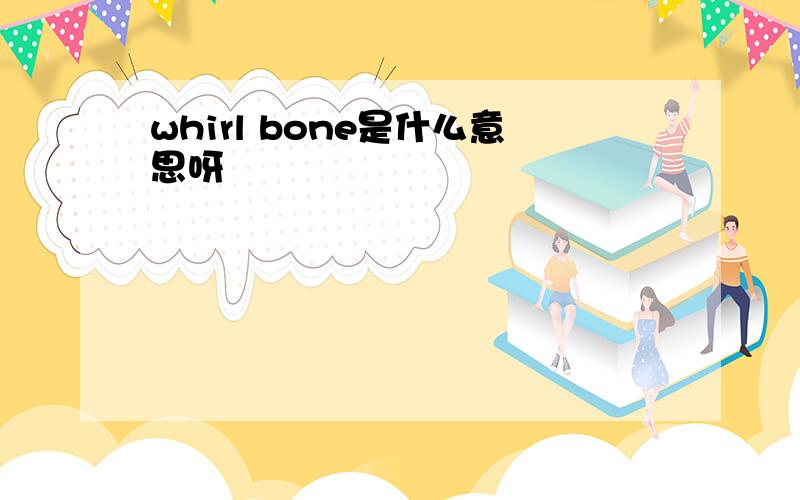 whirl bone是什么意思呀