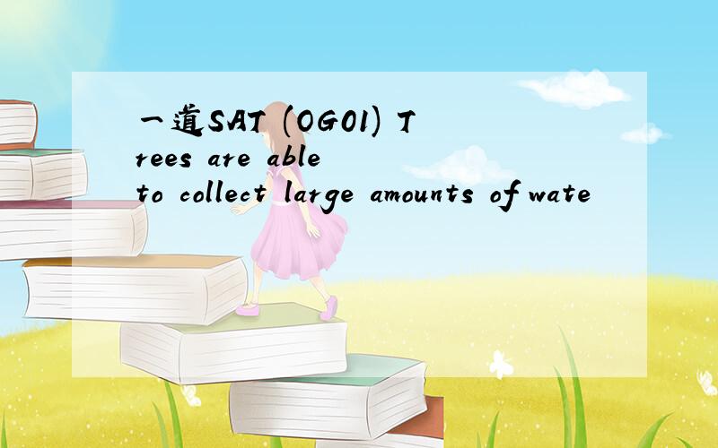 一道SAT (OG01) Trees are able to collect large amounts of wate