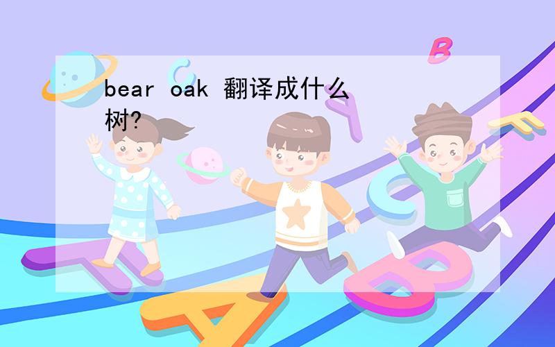 bear oak 翻译成什么树?