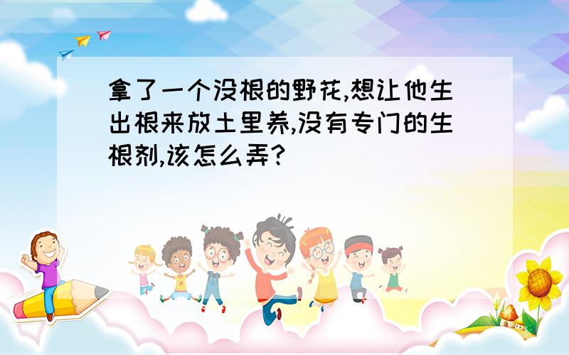 拿了一个没根的野花,想让他生出根来放土里养,没有专门的生根剂,该怎么弄?