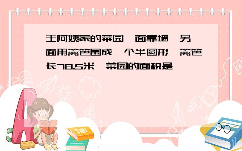 王阿姨家的菜园一面靠墙,另一面用篱笆围成一个半圆形,篱笆长78.5米,菜园的面积是