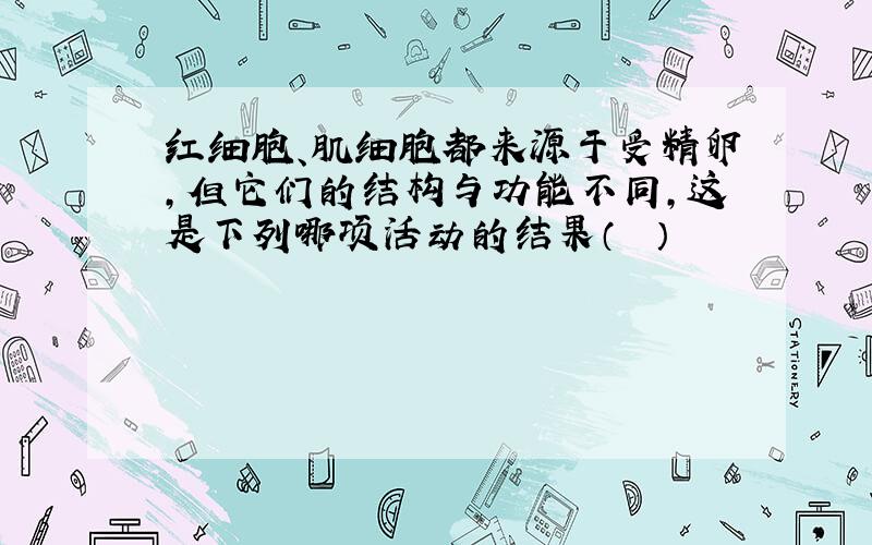 红细胞、肌细胞都来源于受精卵，但它们的结构与功能不同，这是下列哪项活动的结果（　　）