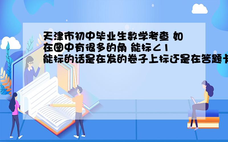 天津市初中毕业生数学考查 如在图中有很多的角 能标∠1 能标的话是在发的卷子上标还是在答题卡上标