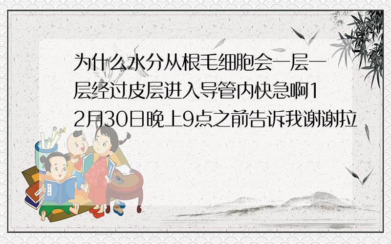 为什么水分从根毛细胞会一层一层经过皮层进入导管内快急啊12月30日晚上9点之前告诉我谢谢拉