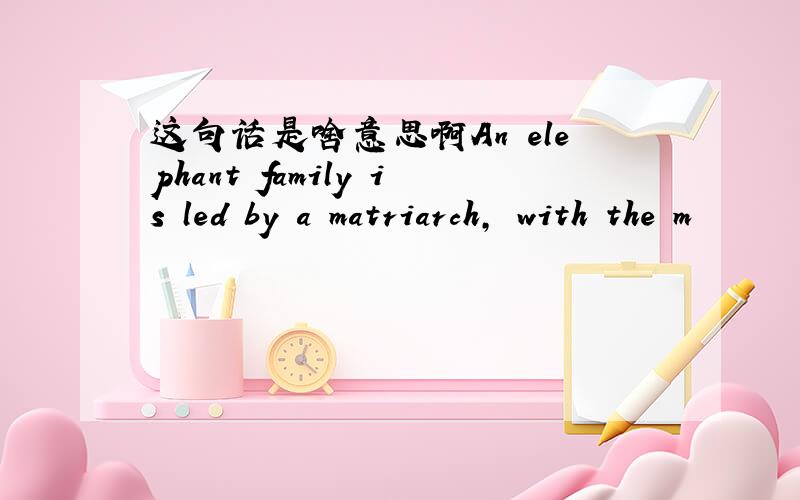 这句话是啥意思啊An elephant family is led by a matriarch, with the m