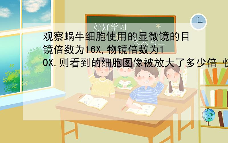 观察蜗牛细胞使用的显微镜的目镜倍数为16X,物镜倍数为10X,则看到的细胞图像被放大了多少倍 快...快...