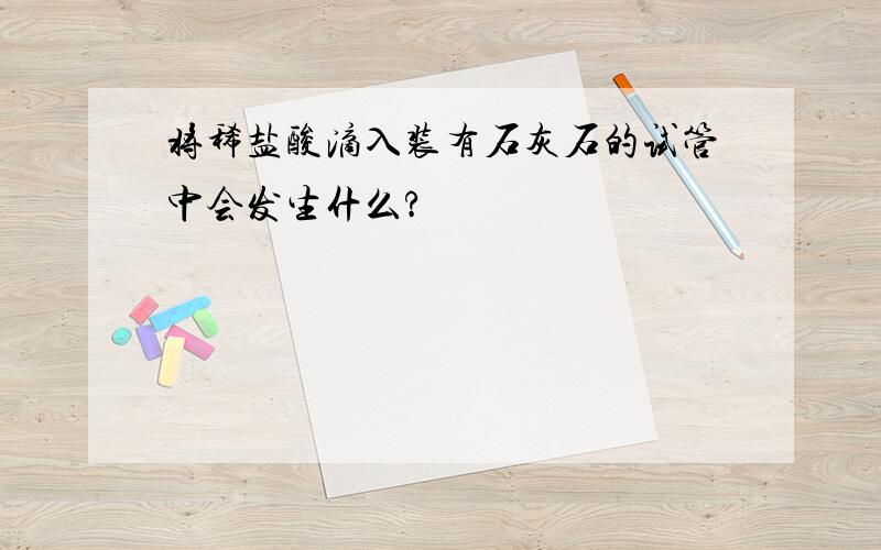 将稀盐酸滴入装有石灰石的试管中会发生什么?