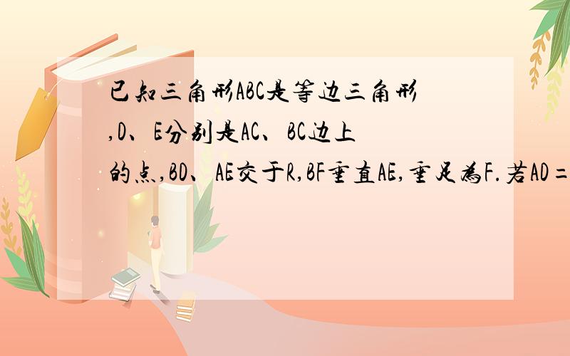 已知三角形ABC是等边三角形,D、E分别是AC、BC边上的点,BD、AE交于R,BF垂直AE,垂足为F.若AD=CE,求