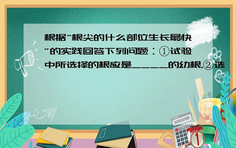 根据“根尖的什么部位生长最快”的实践回答下列问题：①试验中所选择的根应是____的幼根.②选一条有根放